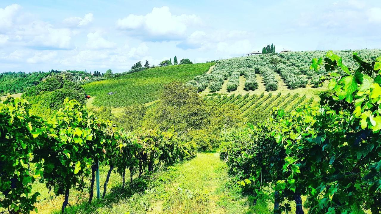 Agriturismo Sant'Ellero San Casciano in Val di Pesa Eksteriør billede