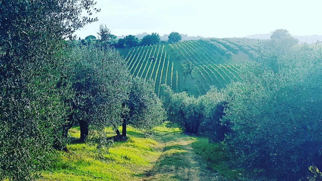 Agriturismo Sant'Ellero San Casciano in Val di Pesa Eksteriør billede