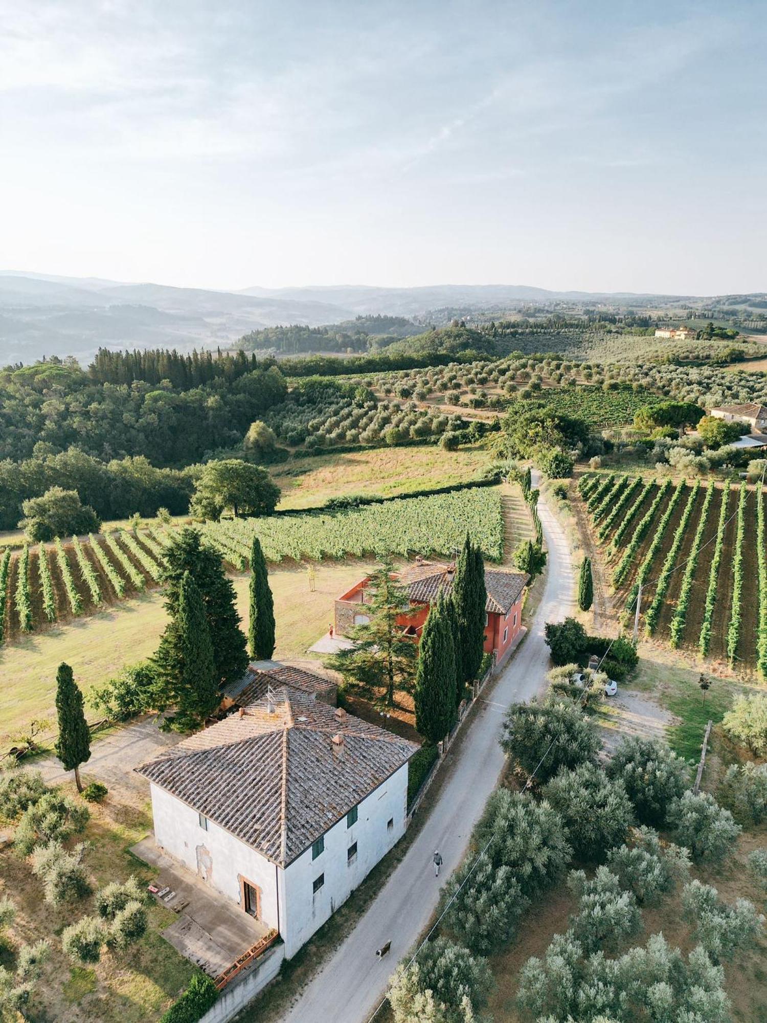 Agriturismo Sant'Ellero San Casciano in Val di Pesa Eksteriør billede